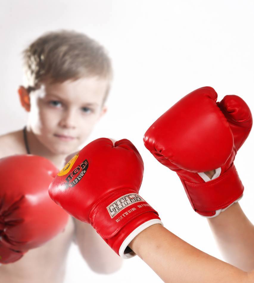 Kickbox Training